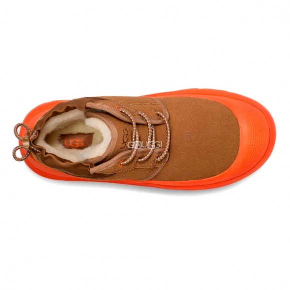 Женские ботинки Ugg Neumel Hybrid Chestnut / Orange